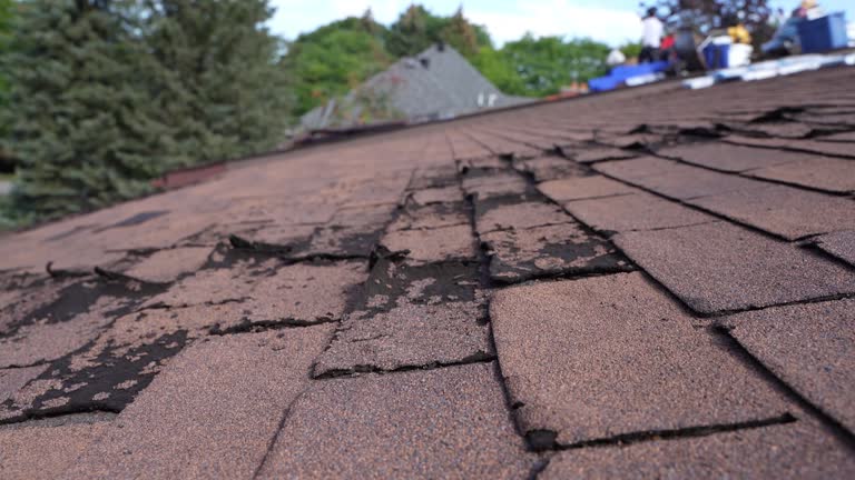 Best Storm Damage Roof Repair  in Butte, MT