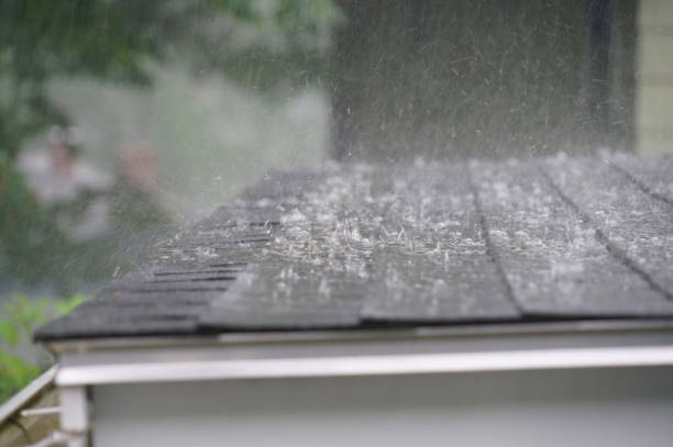 Best Cold Roofs  in Butte, MT